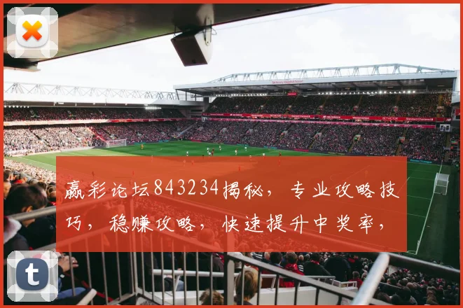 赢彩论坛843234揭秘，专业攻略技巧，稳赚攻略，快速提升中奖率，值得一看